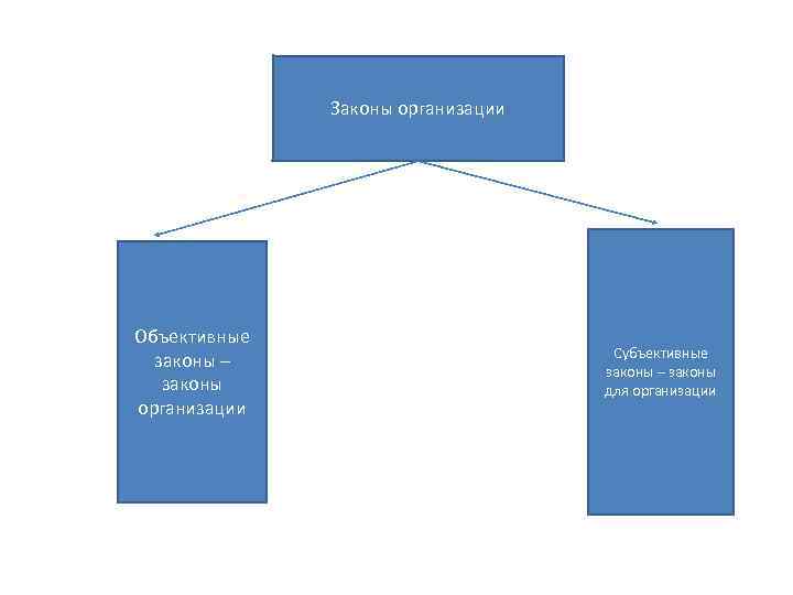 Законы организации Объективные законы – законы организации Субъективные законы – законы для организации 