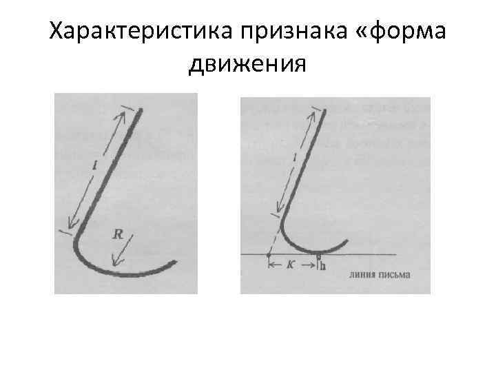 Характеристика признака «форма движения 