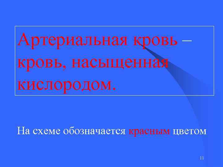 Артериальная кровь – кровь, насыщенная кислородом. На схеме обозначается красным цветом 11 