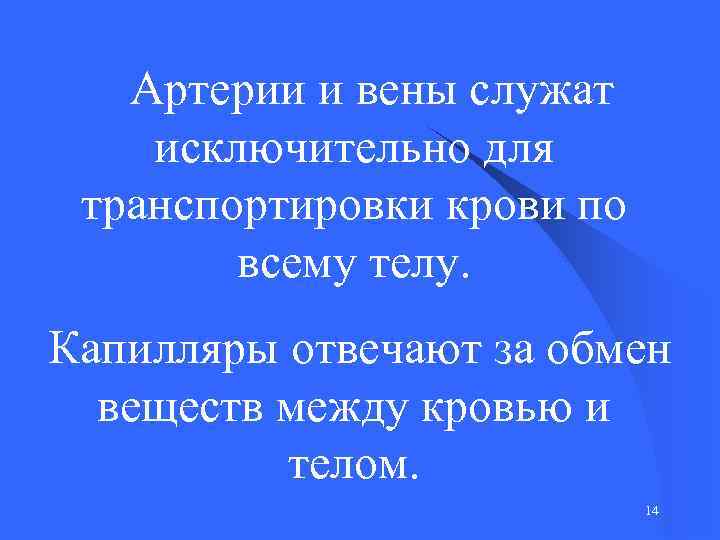  Артерии и вены служат исключительно для транспортировки крови по всему телу. Капилляры отвечают