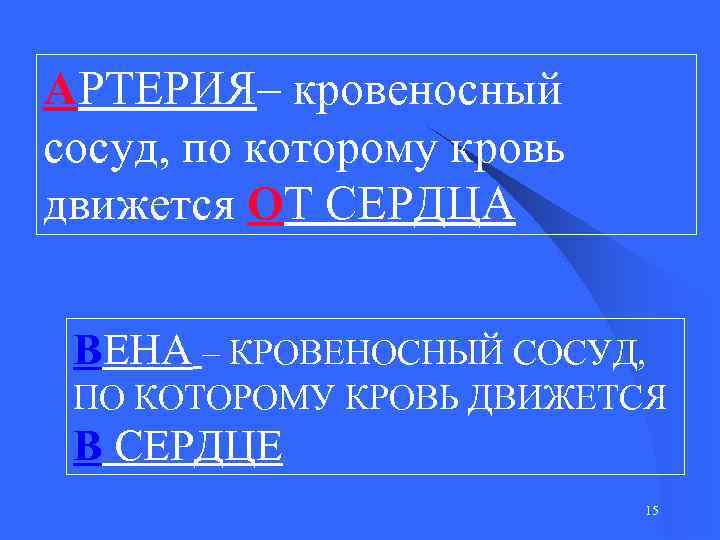 АРТЕРИЯ– кровеносный сосуд, по которому кровь движется ОТ СЕРДЦА ВЕНА – КРОВЕНОСНЫЙ СОСУД, ПО