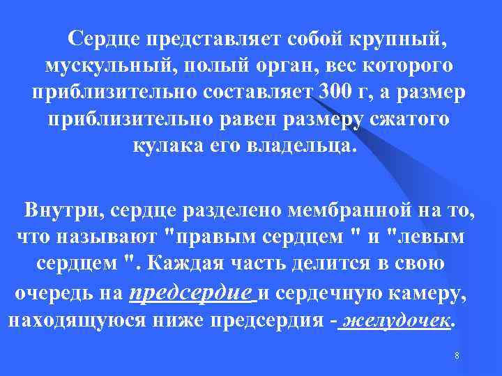  Сердце представляет собой крупный, мускульный, полый орган, вес которого приблизительно составляет 300 г,