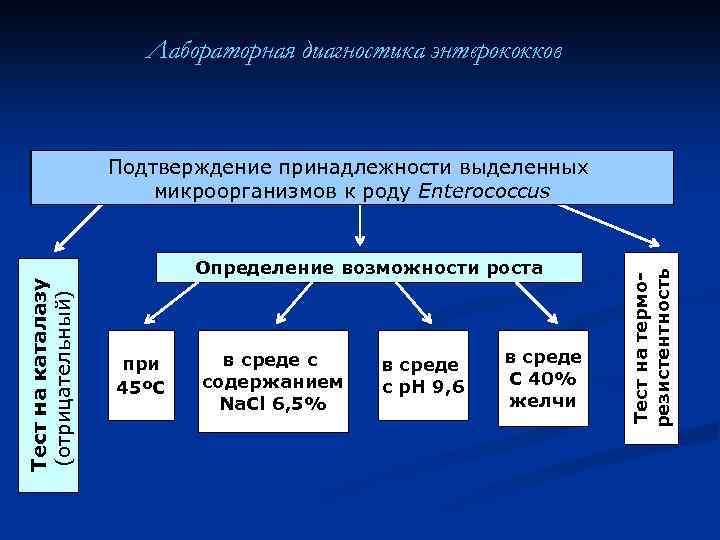 Лабораторная диагностика энтерококков Тест на каталазу (отрицательный) Определение возможности роста при 45ºС в среде