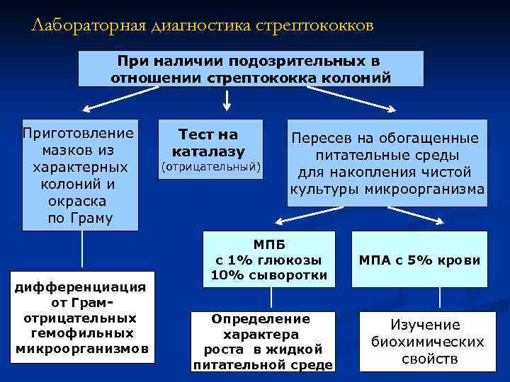 Лабораторная диагностика стрептококков При наличии подозрительных в отношении стрептококка колоний Приготовление мазков из характерных