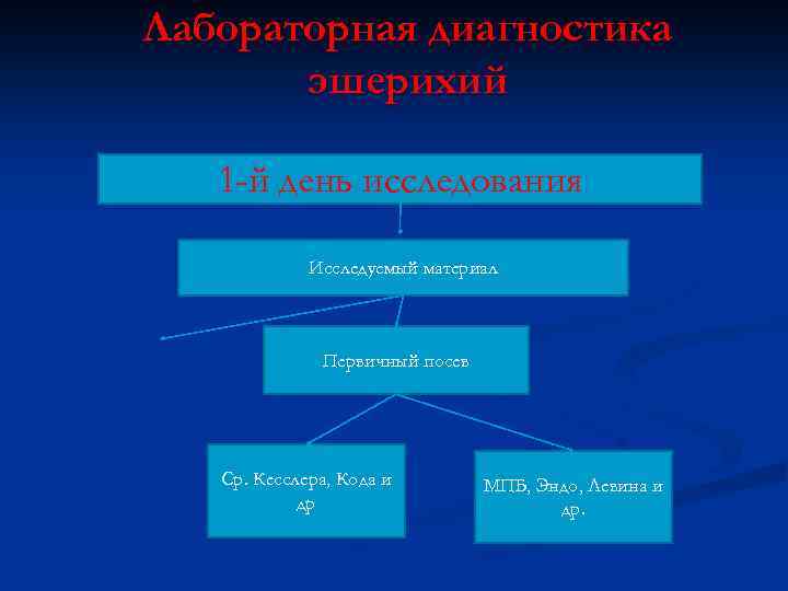 Лабораторная диагностика эшерихий 1 -й день исследования Исследуемый материал Первичный посев Ср. Кесслера, Кода