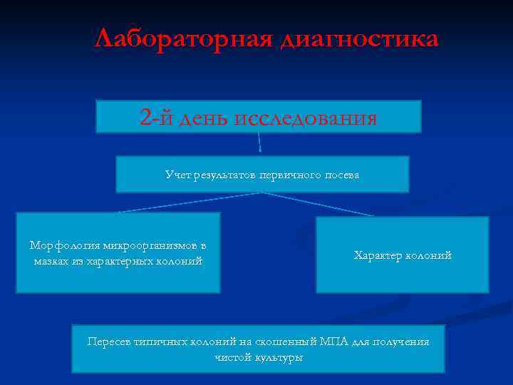 Лабораторная диагностика 2 -й день исследования Учет результатов первичного посева Морфология микроорганизмов в мазках