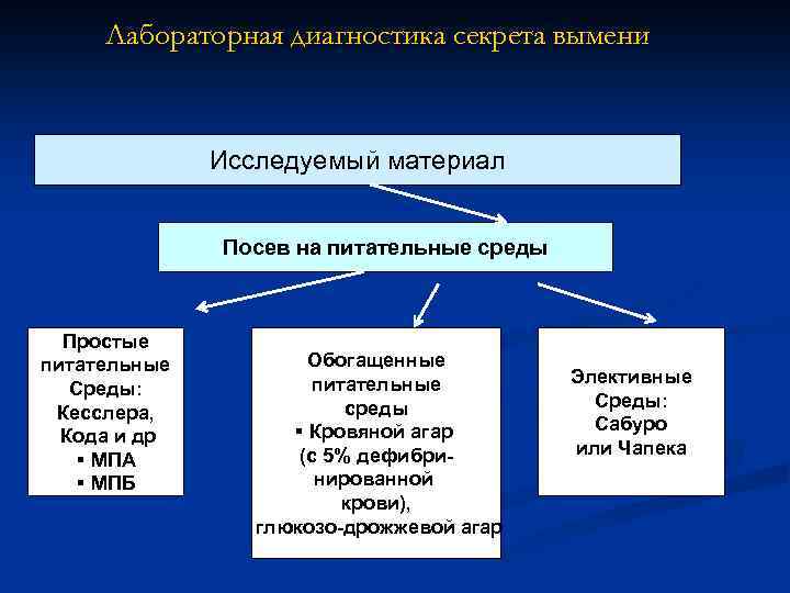 Лабораторная диагностика секрета вымени Исследуемый материал Посев на питательные среды Простые питательные Среды: Кесслера,