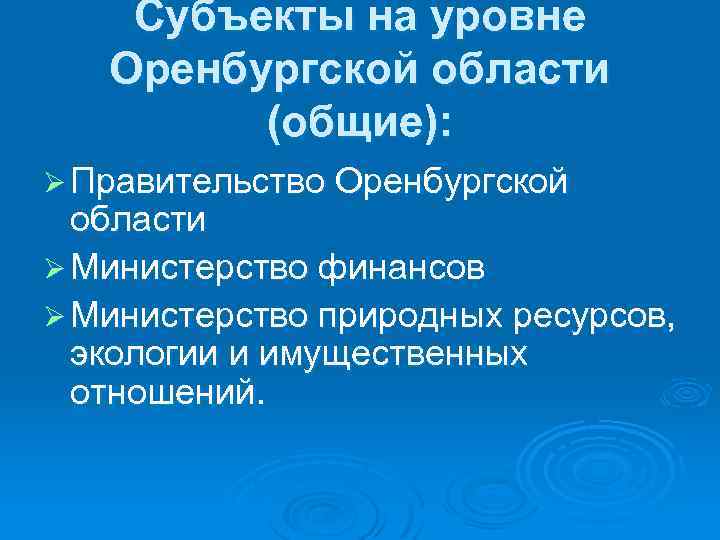 Субъекты на уровне Оренбургской области (общие): Ø Правительство Оренбургской области Ø Министерство финансов Ø