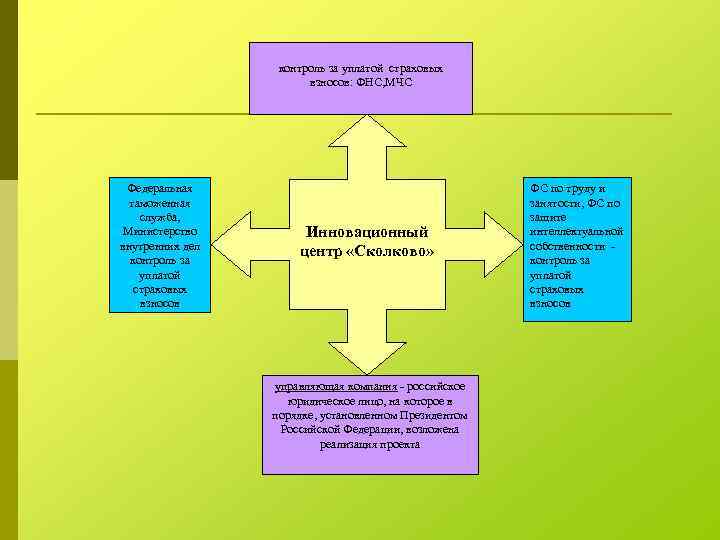 контроль за уплатой страховых взносов: ФНС, МЧС Федеральная таможенная служба, Министерство внутренних дел контроль