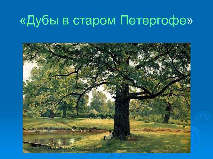  «Дубы в старом Петергофе» 