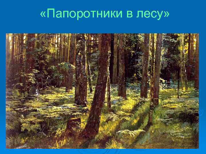  «Папоротники в лесу» 