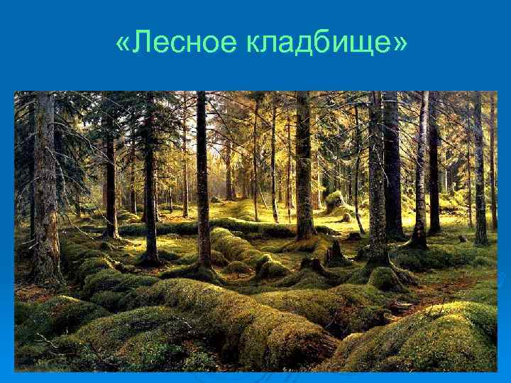  «Лесное кладбище» 