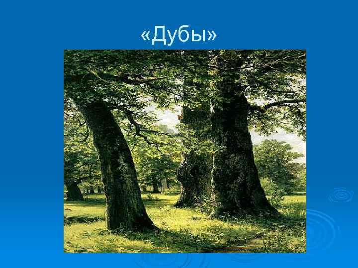  «Дубы» 