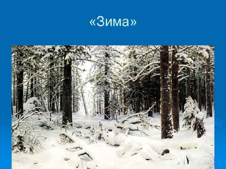  «Зима» 