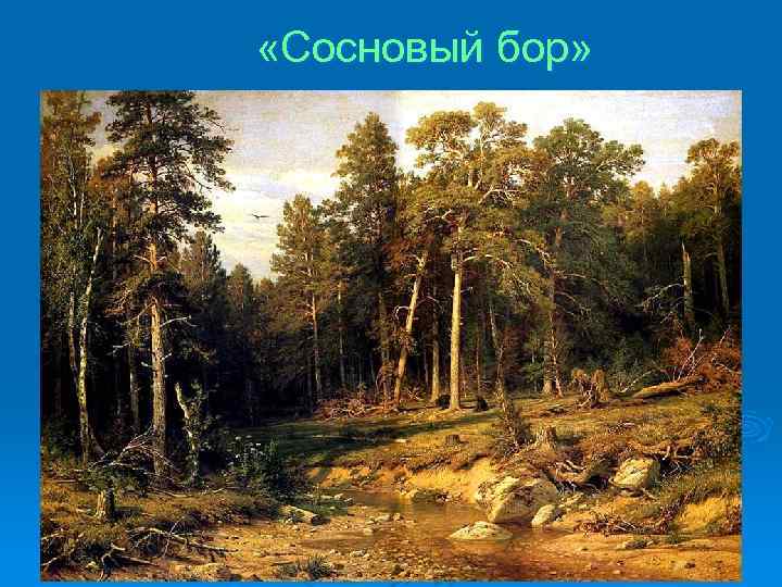  «Сосновый бор» 