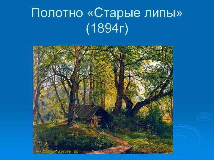 Полотно «Старые липы» (1894 г) 