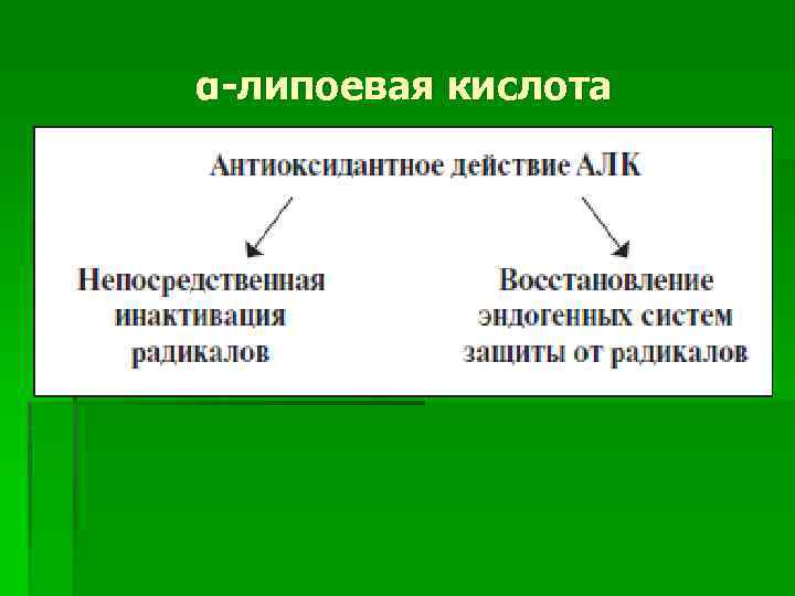 α-липоевая кислота 