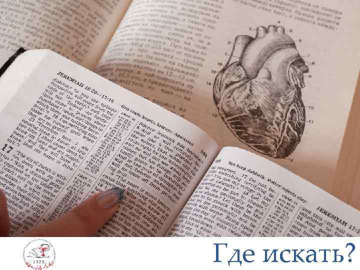 Где искать? 