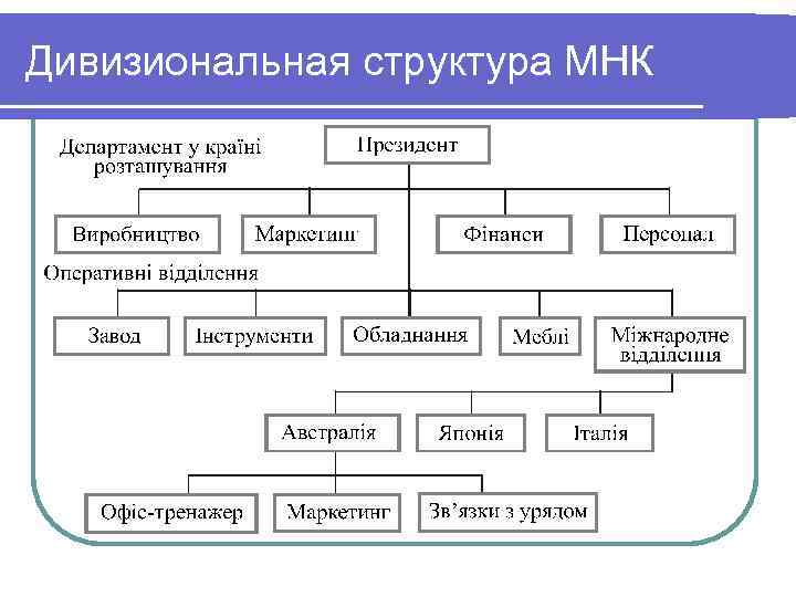 Структурная организация организмов. Дивизиональная структура. Организационная структура МНК.