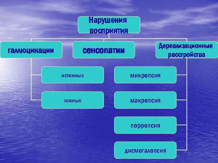 Нарушения восприятия сенсопатии галлюцинации Дереализационные расстройства истинные микропсия ложные макропсия порропсия дисмегалопсия 