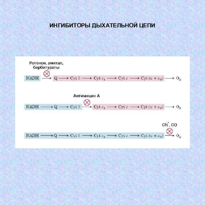 ИНГИБИТОРЫ ДЫХАТЕЛЬНОЙ ЦЕПИ 