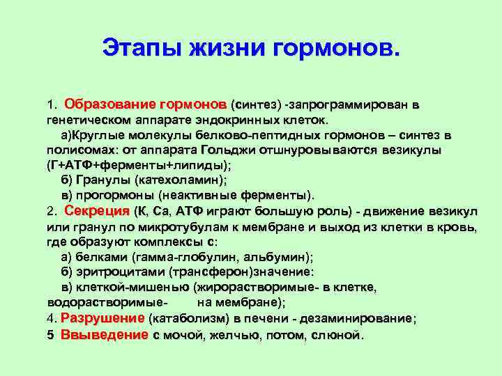 Этапы жизни гормонов. 1. Образование гормонов (синтез) -запрограммирован в генетическом аппарате эндокринных клеток. а)Круглые