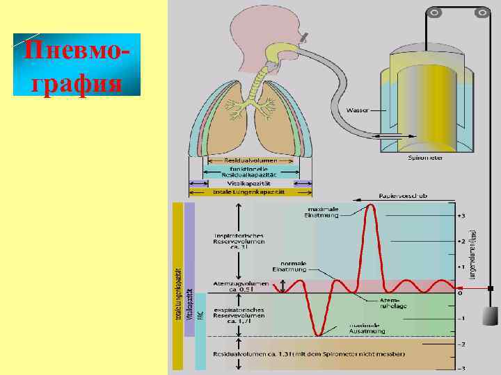 Пневмография 