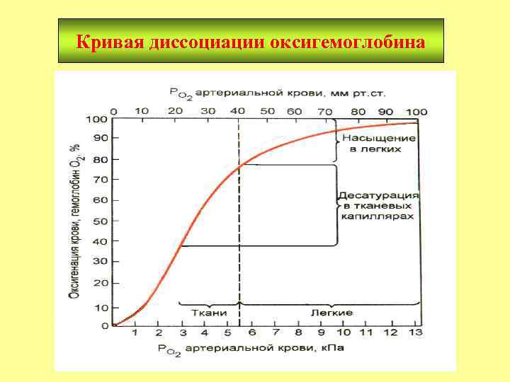 Кривая диссоциации оксигемоглобина 