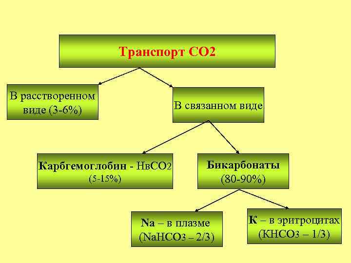 Транспорт СО 2 В расстворенном виде (3 -6%) В связанном виде Карбгемоглобин - Нв.