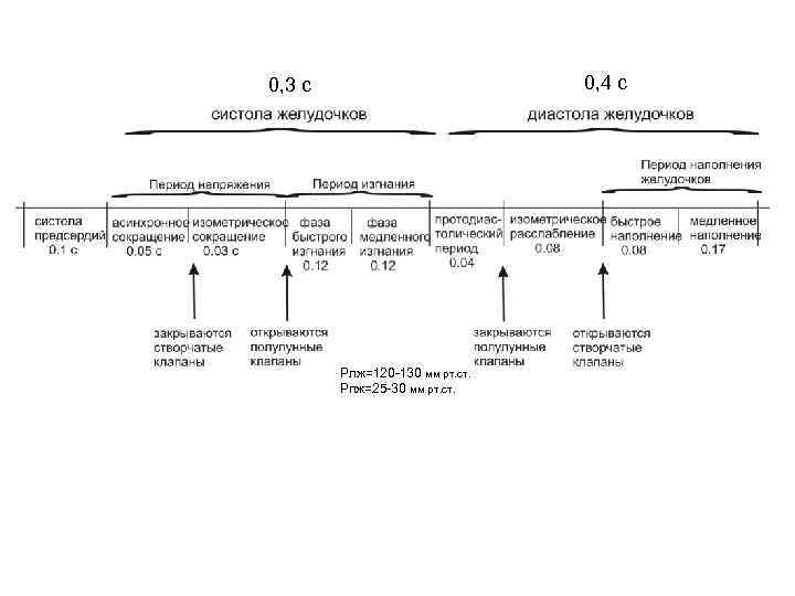 0, 4 с 0, 3 с Рлж=120 -130 мм рт. ст. Рпж=25 -30 мм