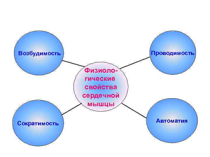 Проводимость Возбудимость Физиологические свойства сердечной мышцы Сократимость Автоматия 