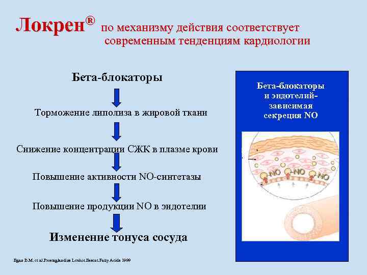 Локрен® по механизму действия соответствует современным тенденциям кардиологии Бета-блокаторы Торможение липолиза в жировой ткани