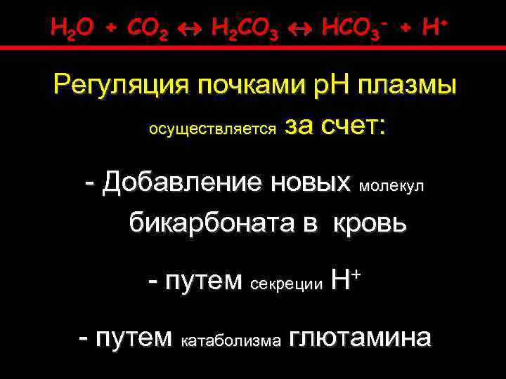 H 2 O + CO 2 H 2 CO 3 HCO 3 - +