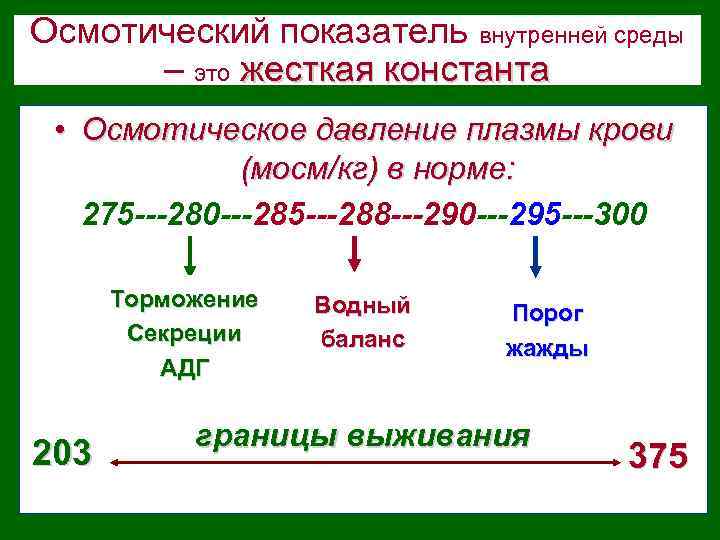 Осмотический показатель внутренней среды – это жесткая константа • Осмотическое давление плазмы крови (мосм/кг)