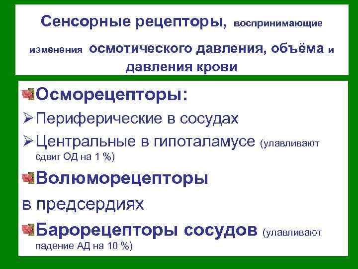 Сенсорные рецепторы, изменения воспринимающие осмотического давления, объёма и давления крови Осморецепторы: Ø Периферические в