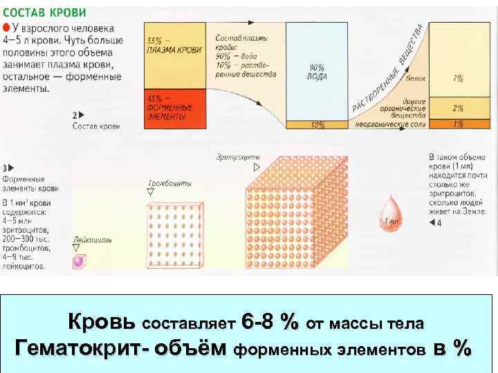 Кровь составляет 6 -8 % от массы тела Гематокрит- объём форменных элементов в %
