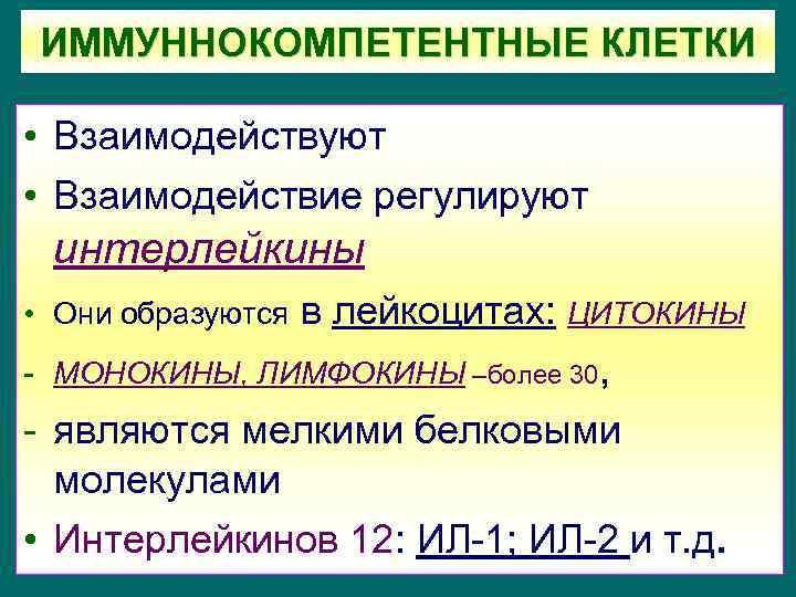 ИММУННОКОМПЕТЕНТНЫЕ КЛЕТКИ • 1. Антигенпрезентирующие клетки: • Взаимодействуют моноциты, макрофаги, эндотелиальные клетки • Взаимодействие