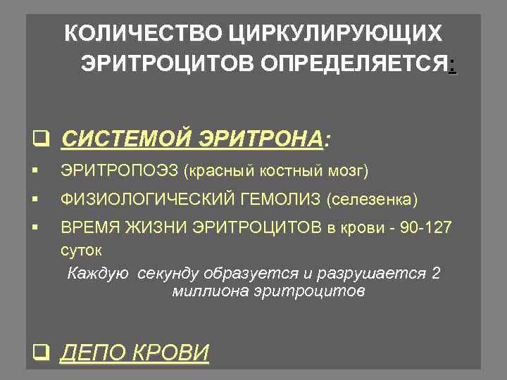 КОЛИЧЕСТВО ЦИРКУЛИРУЮЩИХ ЭРИТРОЦИТОВ ОПРЕДЕЛЯЕТСЯ: q СИСТЕМОЙ ЭРИТРОНА: § ЭРИТРОПОЭЗ (красный костный мозг) § ФИЗИОЛОГИЧЕСКИЙ