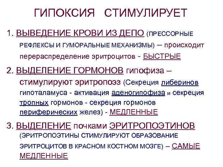 ГИПОКСИЯ СТИМУЛИРУЕТ 1. ВЫВЕДЕНИЕ КРОВИ ИЗ ДЕПО (ПРЕССОРНЫЕ РЕФЛЕКСЫ И ГУМОРАЛЬНЫЕ МЕХАНИЗМЫ) – происходит