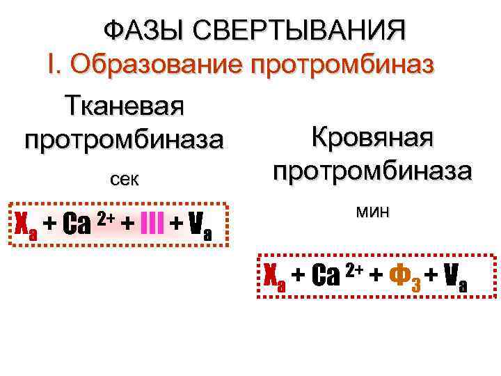 ФАЗЫ СВЕРТЫВАНИЯ I. Образование протромбиназ Тканевая Кровяная протромбиназа сек Ха + Ca 2+ +