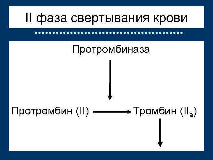 II фаза свертывания крови Протромбиназа Протромбин (II) Тромбин (IIа) 