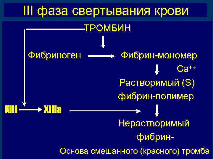 III фаза свертывания крови ТРОМБИН Фибриноген XIII Фибрин-мономер Са++ Растворимый (S) фибрин-полимер XIIIa Нерастворимый