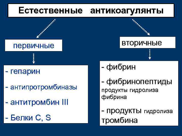 Естественные антикоагулянты первичные - гепарин - антипротромбиназы - антитромбин III - Белки C, S