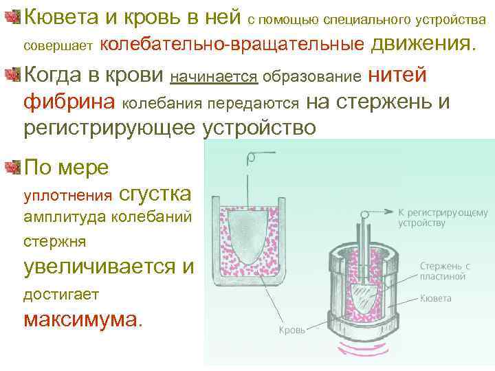 Кювета и кровь в ней с помощью специального устройства совершает колебательно-вращательные движения. Когда в