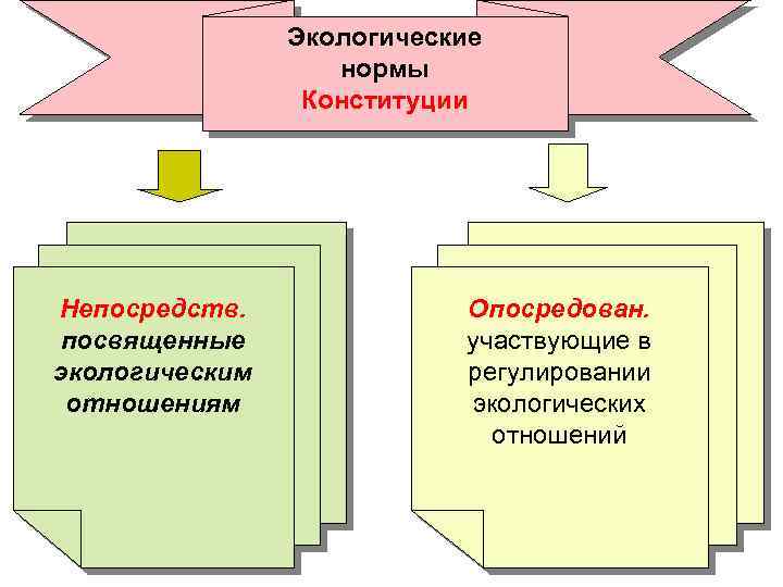 Экологические нормы Конституции Непосредств. посвященные экологическим отношениям Опосредован. участвующие в регулировании экологических отношений 
