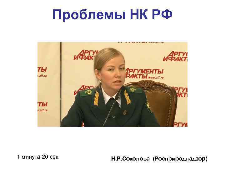 Проблемы НК РФ 1 минута 20 сек Н. Р. Соколова (Росприроднадзор) 