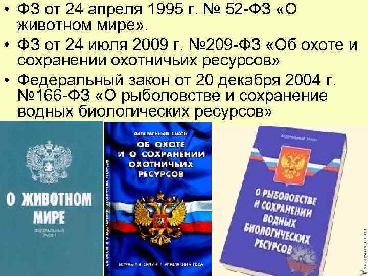 Законы россии об охране животного мира презентация