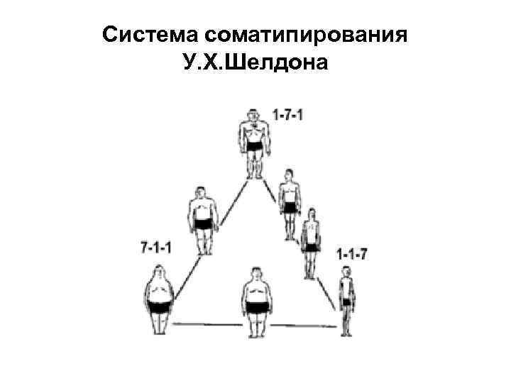 Система соматипирования У. Х. Шелдона 
