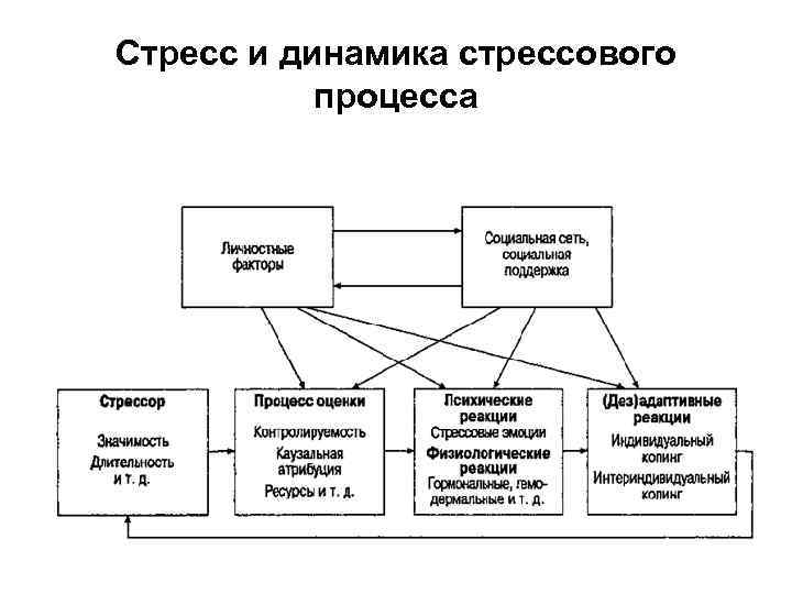 Стресс и динамика стрессового процесса 
