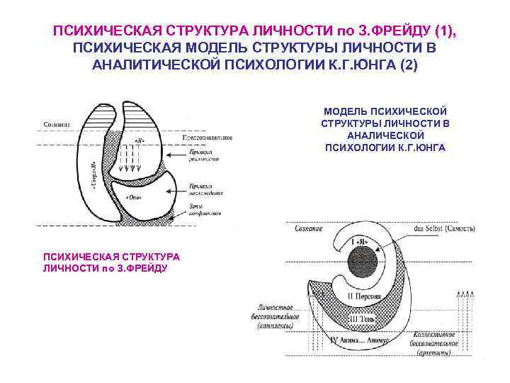 ПСИХИЧЕСКАЯ СТРУКТУРА ЛИЧНОСТИ по З. ФРЕЙДУ (1), ПСИХИЧЕСКАЯ МОДЕЛЬ СТРУКТУРЫ ЛИЧНОСТИ В АНАЛИТИЧЕСКОЙ ПСИХОЛОГИИ